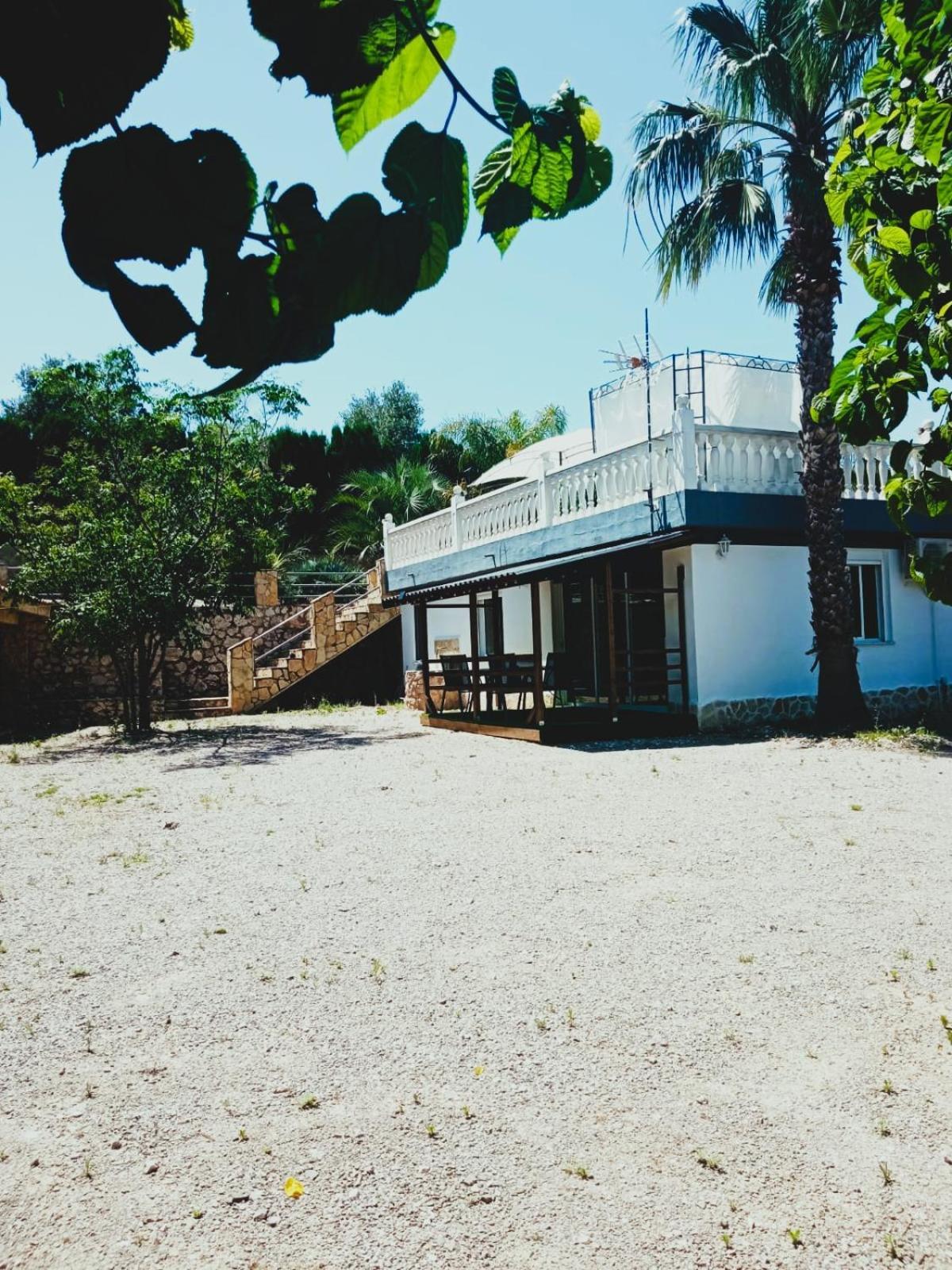 Las Palmeras Alberic Bagian luar foto